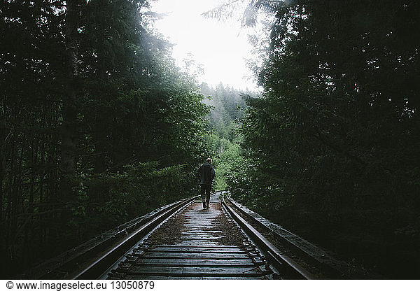 Rear view of man walking on railway tracks amidst trees