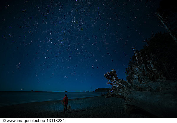 Rear view of man with dog standing at La Push beach against star field during night