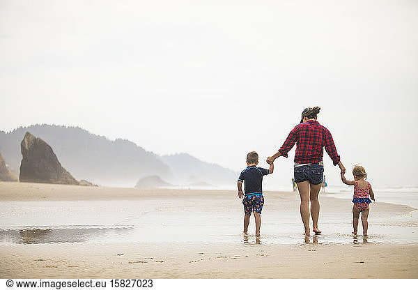 Rear view of mother walking on beach with her two young children.