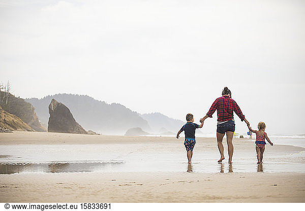 Rear view of mother walking on beach with her two young children.