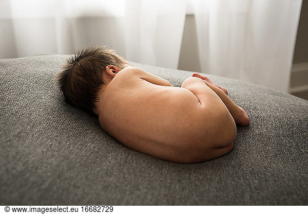 Rear View of Newborn With Lots of Hair Sleeping Curled on Gray Blanket