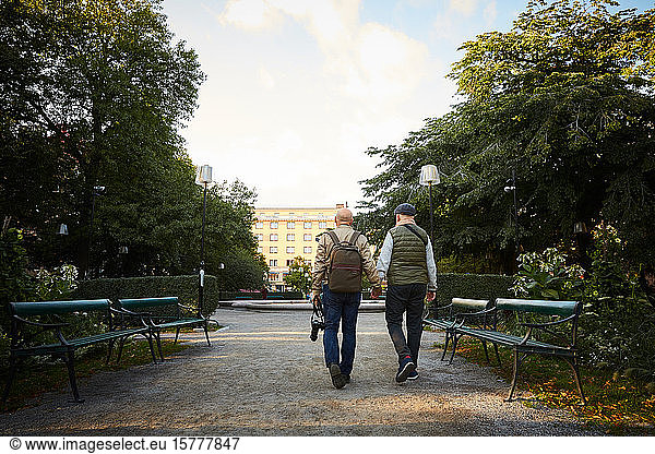 Rear view of senior gay couple holding hands walking at park in city