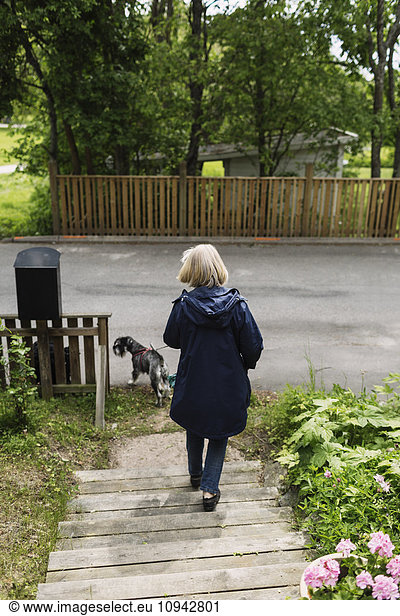 Rear view of senior woman moving down steps with dog