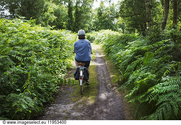 Rear view of woman cycling along forest path under a green tree canopy  on a path lined with ferns.