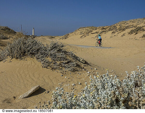 Rear view of woman cycling on road by sand dune