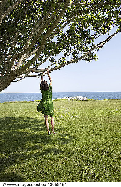 Rear view of woman jumping while reaching branch over grassy field