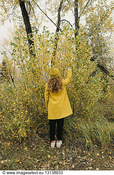 Rear view of woman picking leaves from plants during autumn
