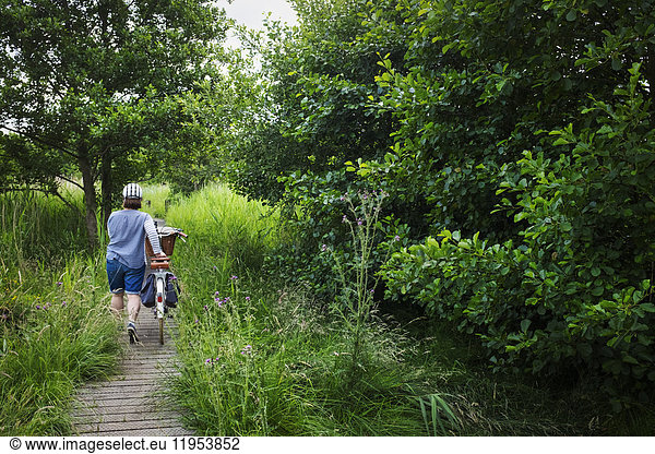 Rear view of woman pushing bicycle along path through tall grass.