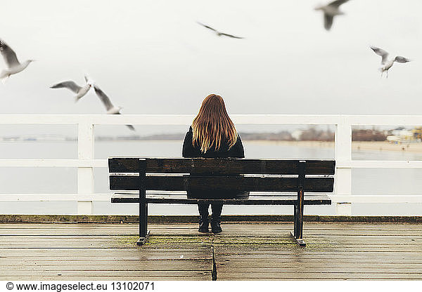 Rear view of woman sitting on bench by railing against sea, Rear view of woman sitting on bench by railing against sea