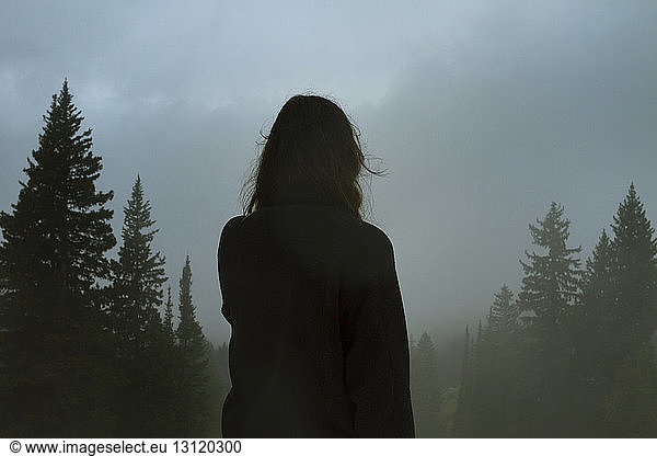 Rear view of woman standing in foggy forest