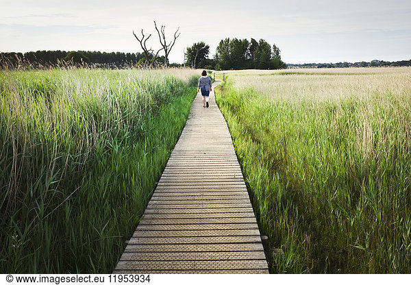 Rear view of woman walking along wooden boardwalk through tall grass.