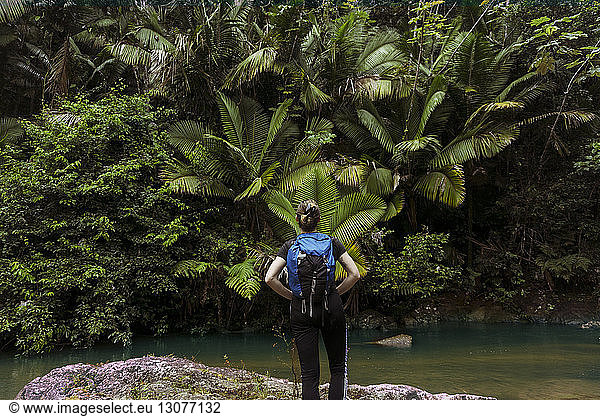 Rear view of woman with backpack standing at lakeshore in El Yunque National Forest