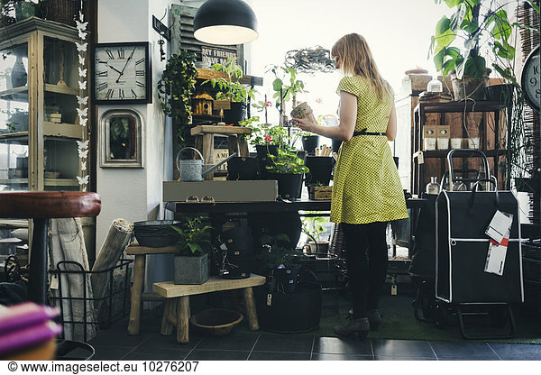 Rear view of woman working in interior design shop