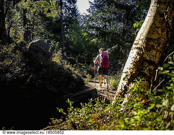 Rear view of women hiking in forest woods at Lac Blanc  Vosges  France