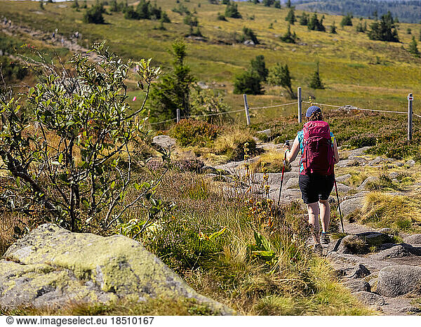 Rear view of women with backpack hiking over rocky path at Gazon du Faing  France
