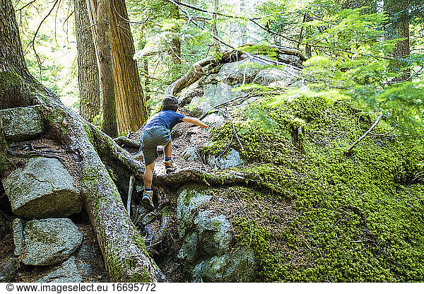 Rear view of young boy climbing with confidence in lush forest.