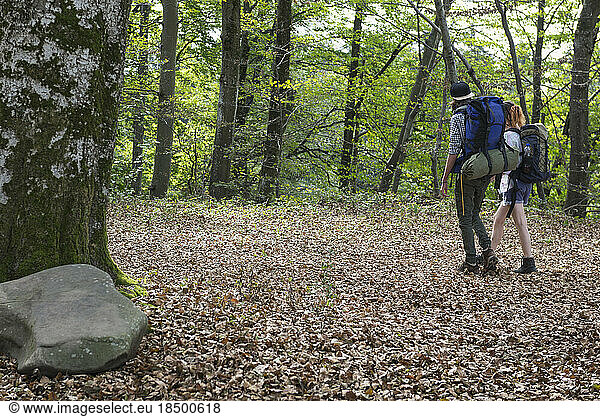Rear view of young couple hiking with backpack in a forest  Bavaria  Germany