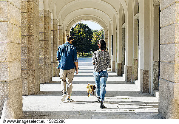 Rear view of young couple walking with dog in an arcade