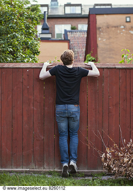 Rear view of young man peeking over wooden wall at yard