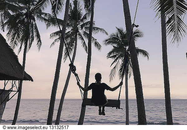 Rear view of young woman swinging on rope swing against coconut palm trees at beach during sunset