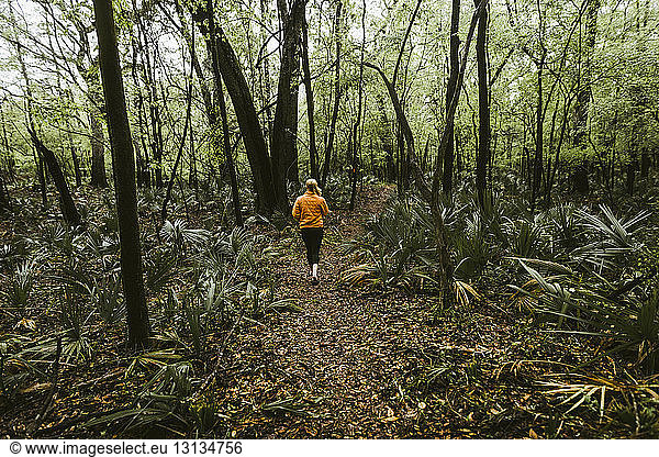 Rear view of young woman walking amidst trees at forest