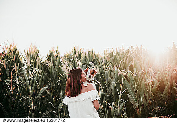 Rear view of young woman with dog at cornfield during sunset