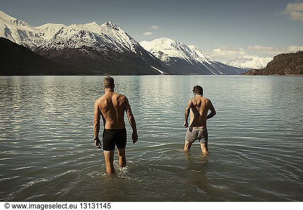 Rear view shirtless male friends walking into Kenai lake against snowcapped mountains