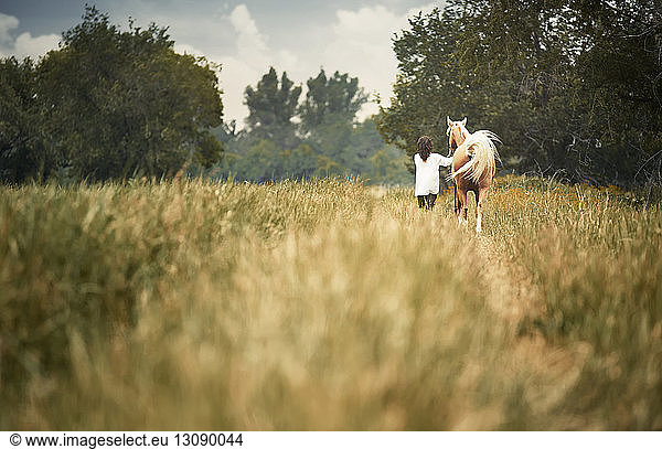 Rear view woman and horse walking on grassy field at countryside