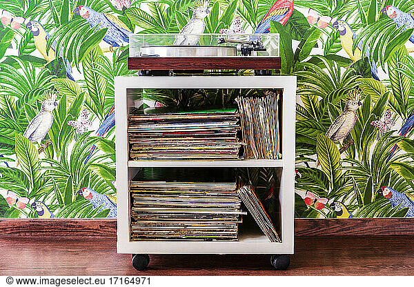 Record player and collection of records against wallpaper in jungle and parrots pattern
