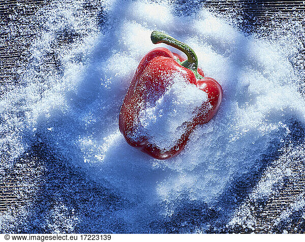 Red bell pepper lying in snow