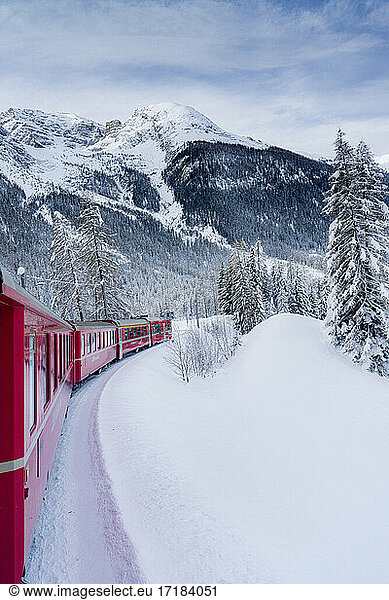 Red Bernina Express train crossing the snowy landscape in winter  Preda Bergun  Albula Valley  Graubunden Canton  Switzerland  Europe