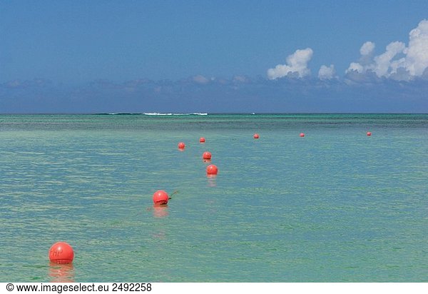 Red bouys on Caribbean Sea  Pigeon Point  Tobago  West Indies