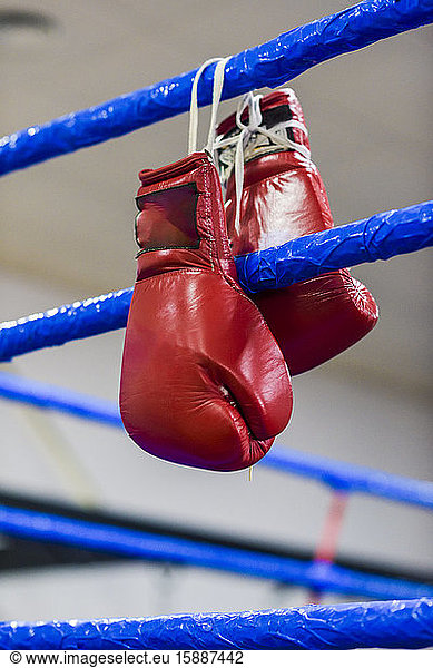 Red boxing gloves hanging from the ring ropes