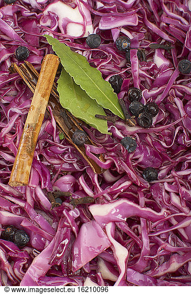 Red cabbage  cinnamon  bay leaves and juniper berries  full frame