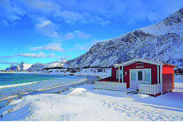 Red cottage in winter landscape  beach  Ramberg  Lofoten  Nordland  Norway  Europe