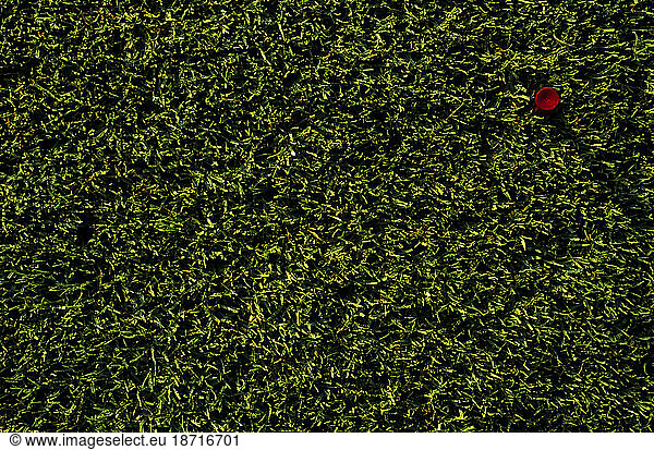 Red golf tee in green grass.