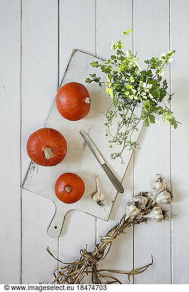 Red kuri squashes  garlic and cilantro lying on white cutting board