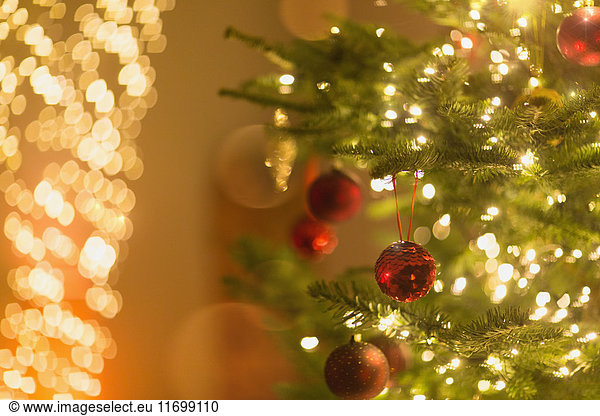 Red ornaments hanging from Christmas tree with string lights