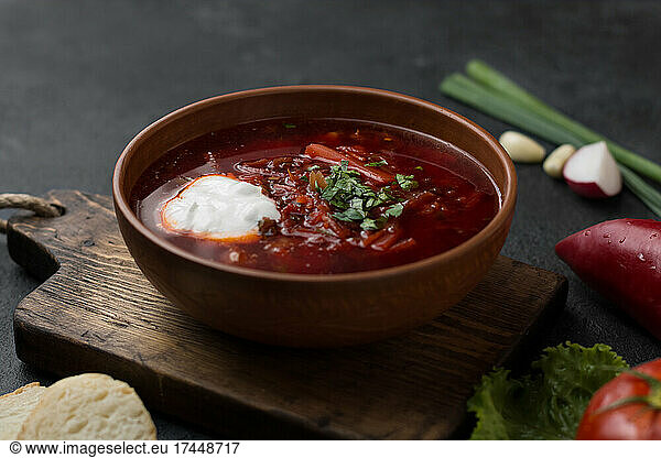 red russian national soup borscht