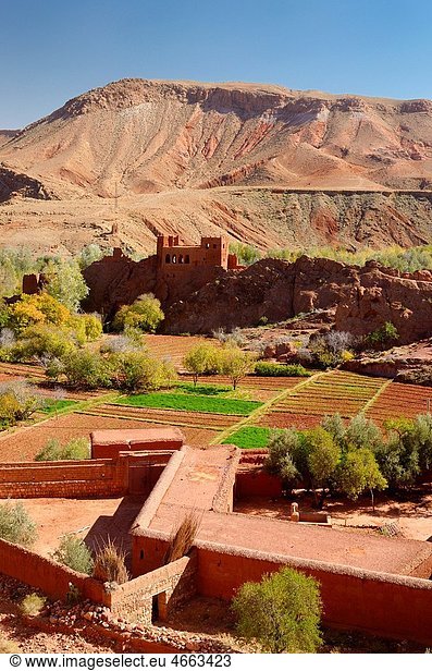 Red soil of Kasbah ruins and cultivated fields in Dades Gorge Morocco