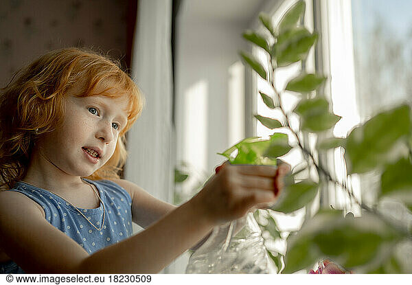 Redhead girl spraying water on plant at home