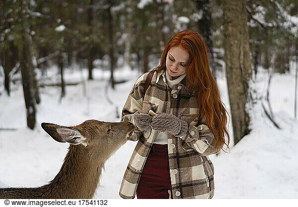 Redhead woman feeding deer in winter forest