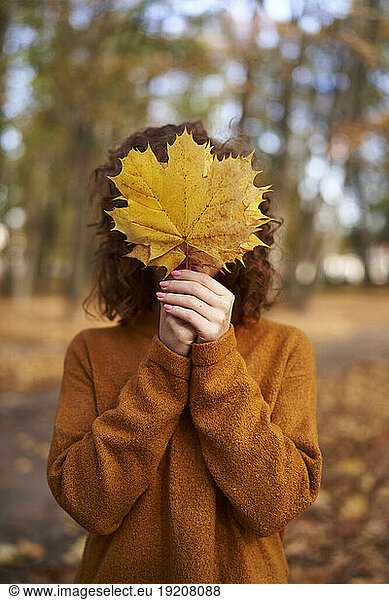 Redhead woman holding maple leaf in front of face at autumn park