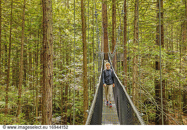 Redwood Treewalk  Canopy Pathway  Rotorua  Bay of Plenty  North Island  New Zealand  Pacific