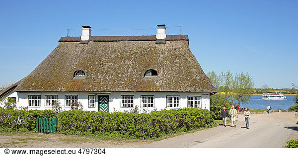 Reetdachhaus in Sieseby an der Schlei  Schleswig-Holstein  Deutschland  Europa