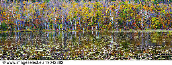 Reflecting fall foiliage in the still waters of an unknown lake in western New Hampshire  USA.