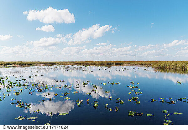 Reflection of clouds in lake at Everglades National Park