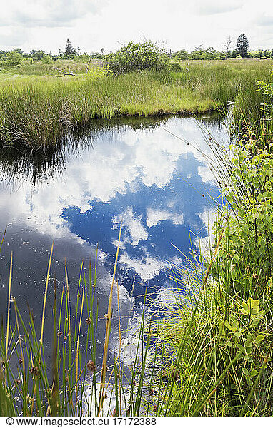 Reflection of clouds on water at High Fens Nature Park