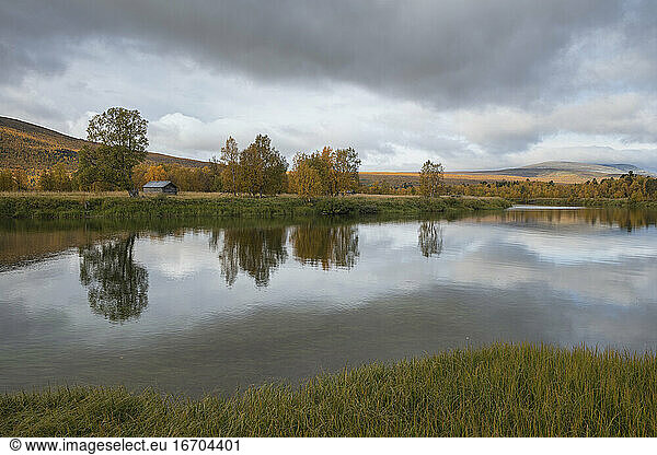 Reflection of trees in river delta at Bäverholmen along Kungsleden Trail  Lapland  Sweden