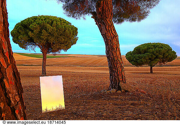 Reflection on a mirror in a cereal crop field in the Villafafila natural park. zamora. Spain.